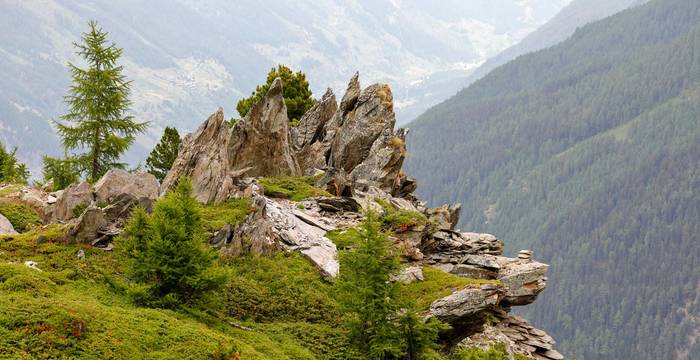 Lebensraum Alpen